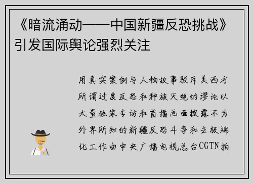 《暗流涌动——中国新疆反恐挑战》引发国际舆论强烈关注